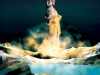 Liberty